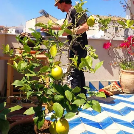 Terrazza Sul Carmine, Alle Porte Di Ballaro Apartment